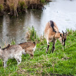 20140419_Fishing_Shpaniv_035.jpg