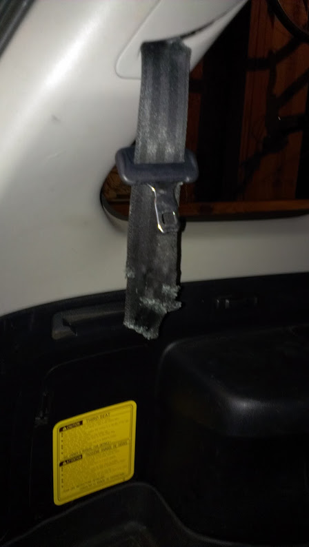 IMAG0235.jpg
