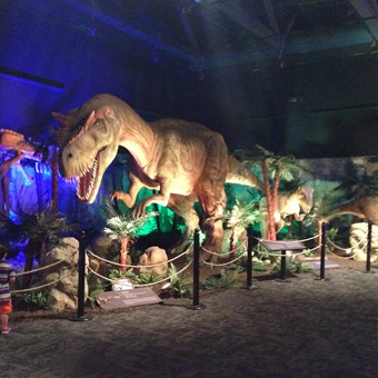 20150620 dinosaur museum (14)