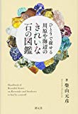 ひとりで探せる 川原や海辺のきれいな石の図鑑