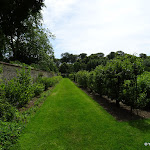 Château Saint-Jean de Beauregard : potager