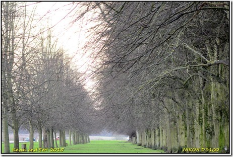 Coombe Abbey CP - December