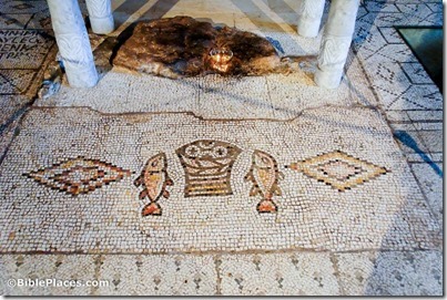 Tabgha mosaic of fish and loaves, tb110106544