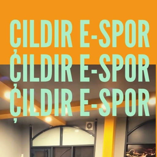 Çıldır E-spor logo