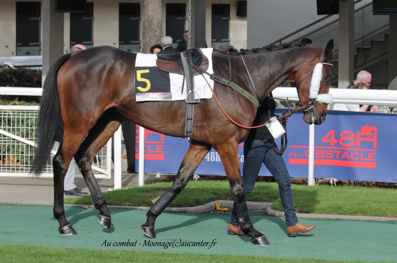 Photos Auteuil 8-11-2015 (48h de l'obstacle) IMG_6822