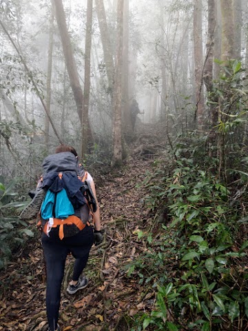 Gunung Tahan Merapoh Route; Sungai Relau; misty hikes