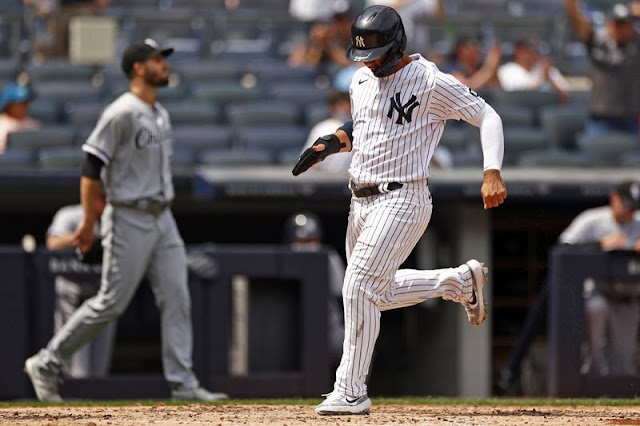 Mike Ford ran into a sophomore slump in the Yankees 2020 season - Pinstripe  Alley