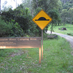 Welcome to Gloucester River camping ground