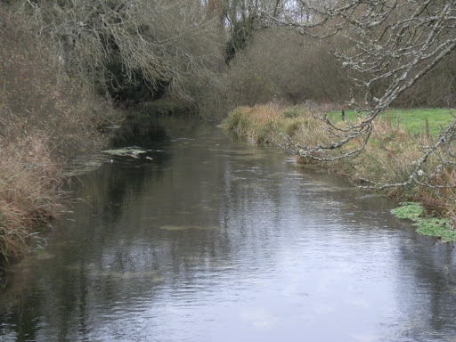 DSCF2717 River Test from Bere Mill bridge