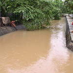 The Canal Behind the Ploy Palace is Almost Full