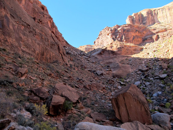 View up the trail from near the bottom