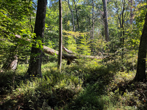 Park «Fred Crabtree Park», reviews and photos, 2801 Fox Mill Rd, Herndon, VA 20171, USA