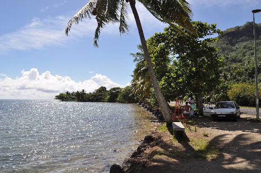 16 DE JUNIO DE 2011. INTERIOR DE MOOREA Y PLAYA - HONEYMOON EN POLINESIA FRANCESA (13)