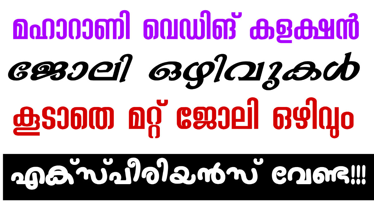 സൂര്യകാന്തിശോഭയിൽ വയനാടൻ വയലുകൾ; സന്ദർശകരുടെ ഒഴുക്ക്, വരൾച്ചയില്‍ യോജിച്ച  കൃഷിയെന്ന് കർഷകർ