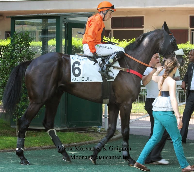 Photos Auteuil 8-06-2014  IMG_1701