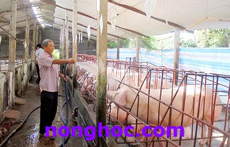 Bình Thủy (TP Cần Thơ): Hiệu quả từ mô hình kinh tế hộ gia đình