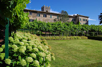 Eremo Magnolia_Gaiole in Chianti_9