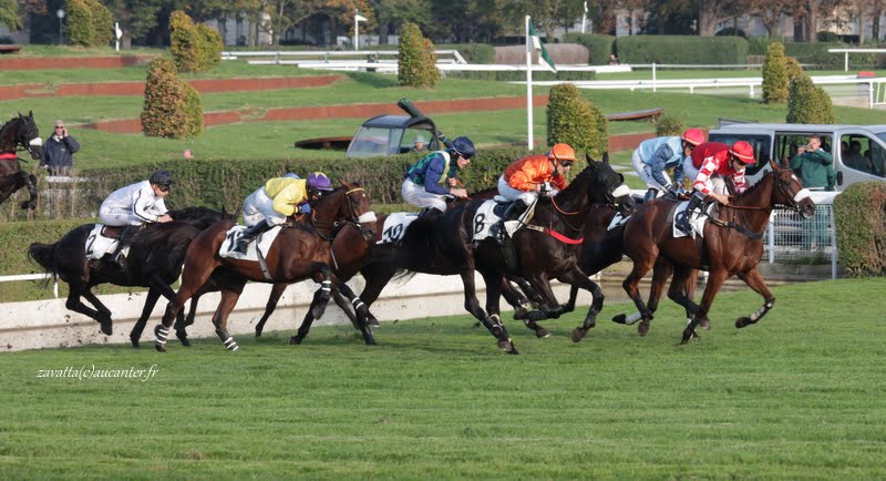 Photos Auteuil 11-10-2015 IMG_5539