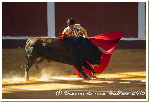 Toros1-9436