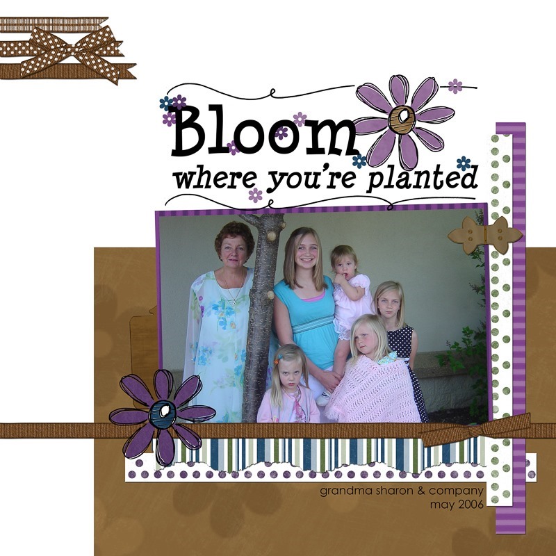 bloom_copy_41