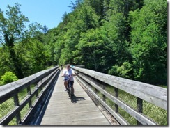 Gin on the trestle