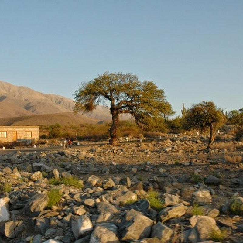 Tafí del Valle, para vivir una experiencia distinta en la naturaleza.