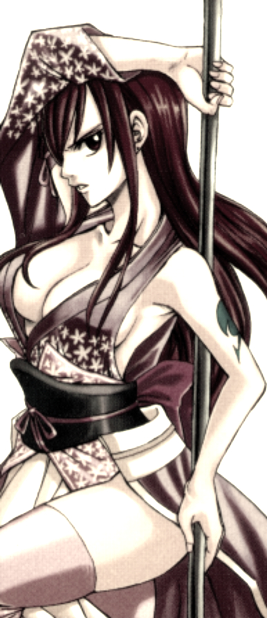 파일:attachment/Fairy_Tail_-_Erza_Scarlet_-_Armor_-_Robe_of_Yuen_(2).jpg