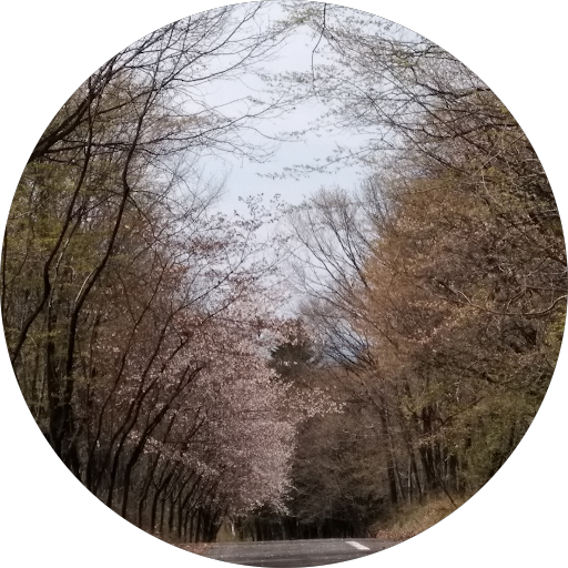 麺家なりた 新潟県糸魚川市大町 ラーメン屋 レストラン グルコミ