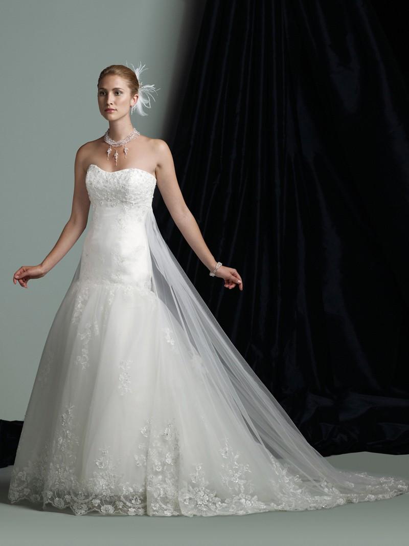 Organza Strapless Soft