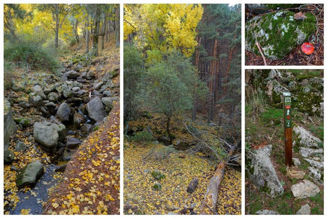 Cascada del Hornillo, Sta. Mª de la Alameda (Madrid). Monasterio del Escorial. - Comunidad de Madrid: pueblos, rutas y lugares, incluyendo senderismo (8)