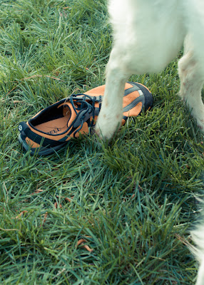 Merrell Road Glove Durability Test