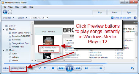 Windows Media Player 12