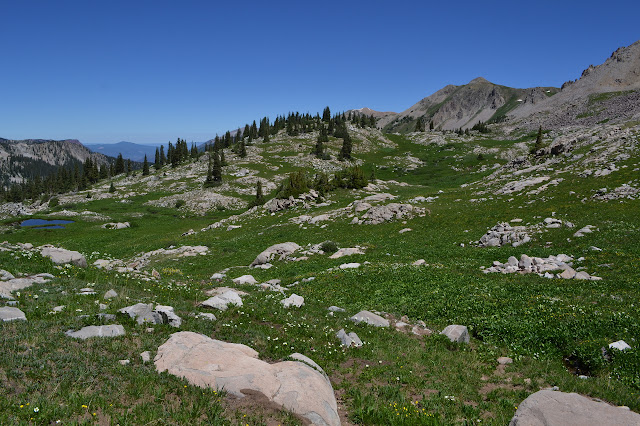 giant cairns marking indistinct trail