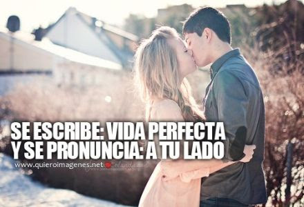 Frases lindas para dedicar