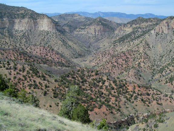 Hardscrabble Canyon