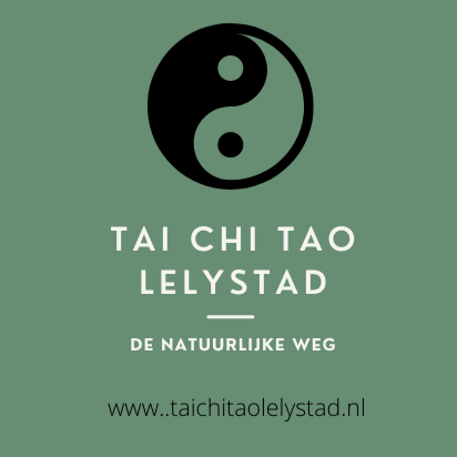 taichitaolelystad logo