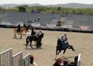 salon du cheval de frejus 2012 Cheval%2520Azur%25202012%2520%252843%2529