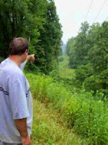 Bigfoot Sighting Reignites Past Claims In Calhoun County Wv