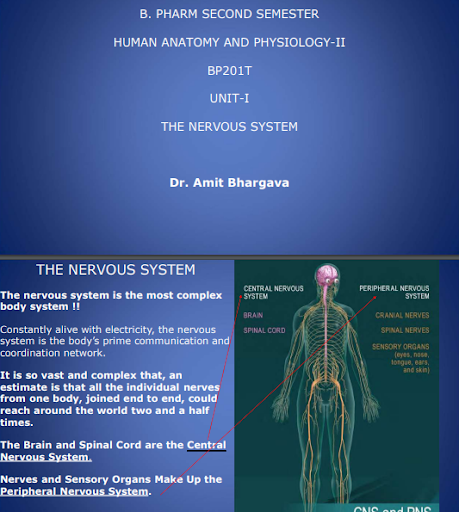 The Nervous System 2nd Semester B.Pharmacy ,BP201T Human Anatomy and Physiology II,BPharmacy,Handwritten Notes,Important Exam Notes,BPharm 2nd Semester,