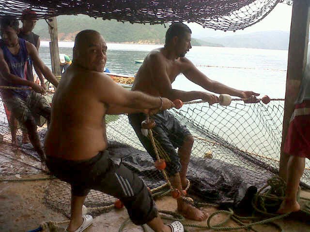 Captura de Aguja Azul En el paraíso de la pesca para los peces de Pico, La  Guaira Venezuela 🇻🇪 Asi armamos la carnada más efect