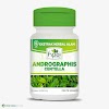 Obat Herbal Androgtaphis Centella 