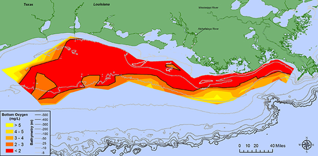 Gulf of Mexico dead zone in July 2017. At 8,776 square miles, the 2017 dead zone in the Gulf of Mexico is the largest ever measured. Photo: N. Rabalais / LSU / LUMCON