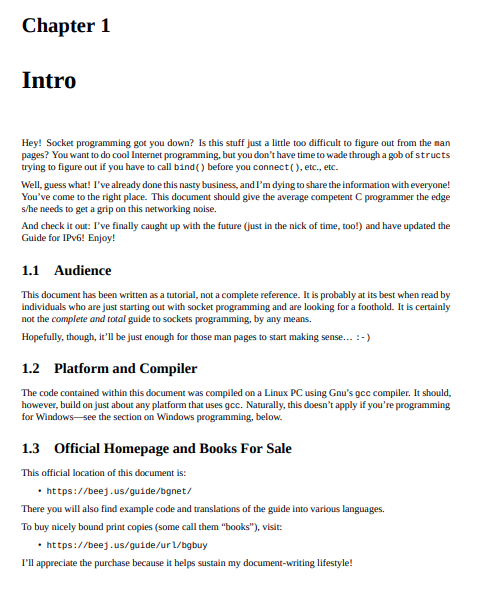 Beej's Guide to Network Programming Preview