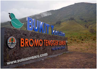 Gambar Bukit Teletubbies Bromo