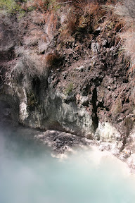 Steamy mineral bath, Te Puia