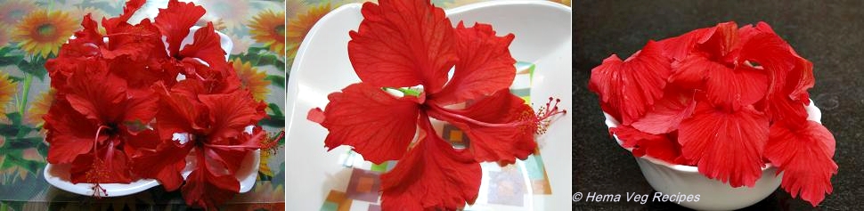 Hibiscus