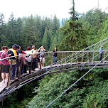 another bridge at the Capilano Suspension Bridge in North Vancouver, Canada 