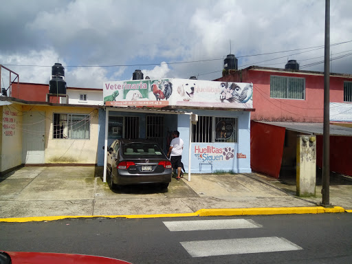 Huellitas Que Te Siguen, Los Censos 1103, El Espinal, 94330 Orizaba, Ver., México, Cuidado de mascotas | VER