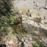 Webster's Falls in Ontario, Canada in Dundas, Canada 