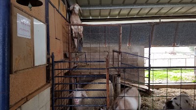 Photos of Yarok Az - Ecolodge Farm
